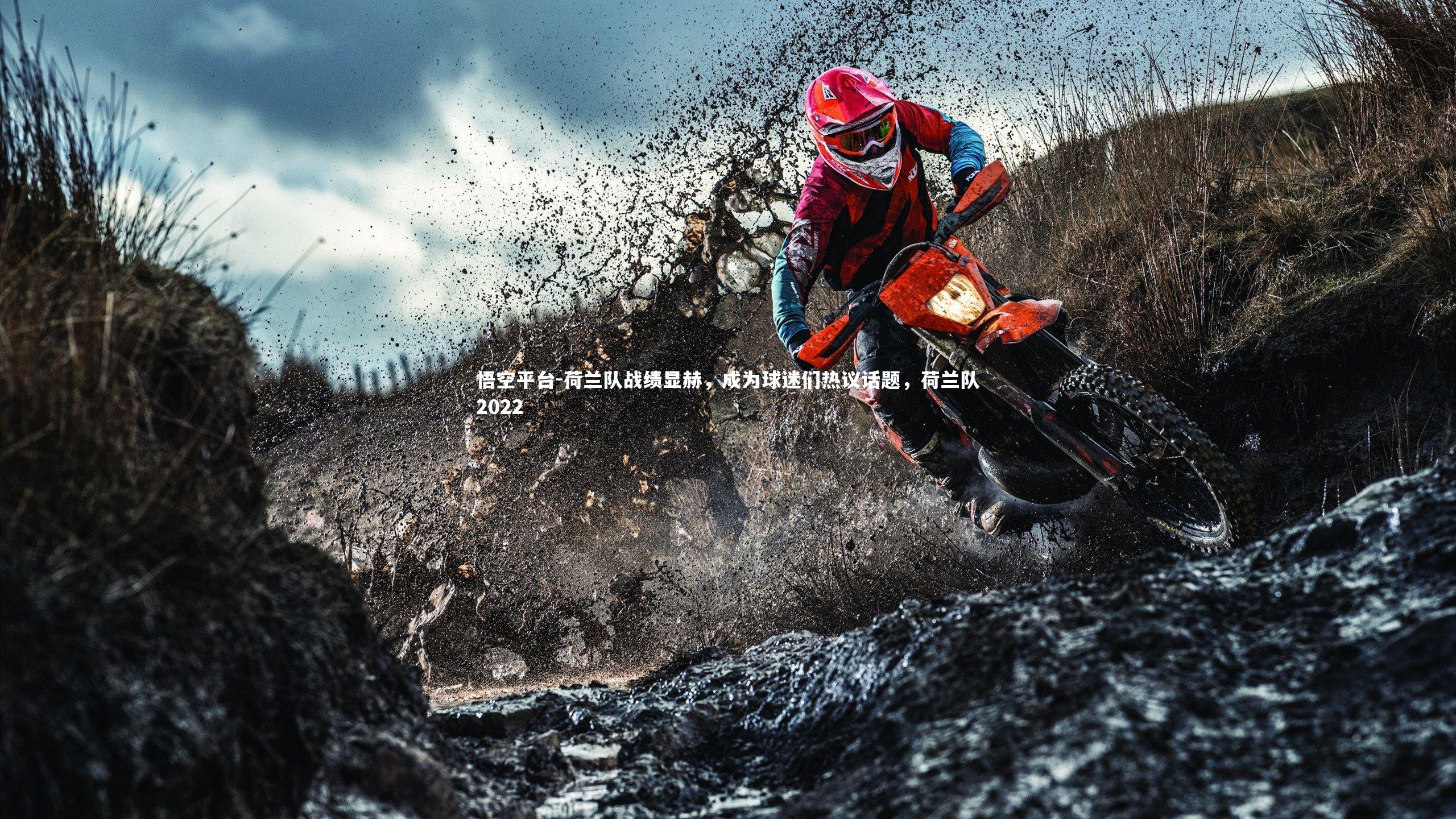 悟空平台-荷兰队战绩显赫，成为球迷们热议话题，荷兰队2022