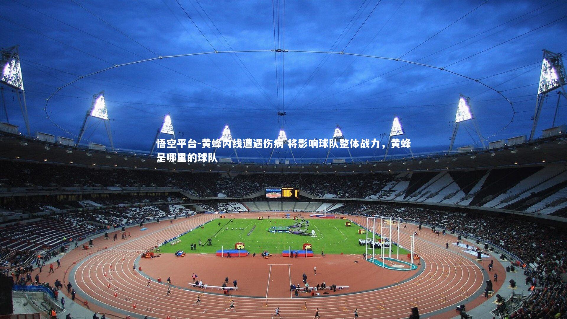 黄蜂内线遭遇伤病 将影响球队整体战力,黄蜂是哪里的球队