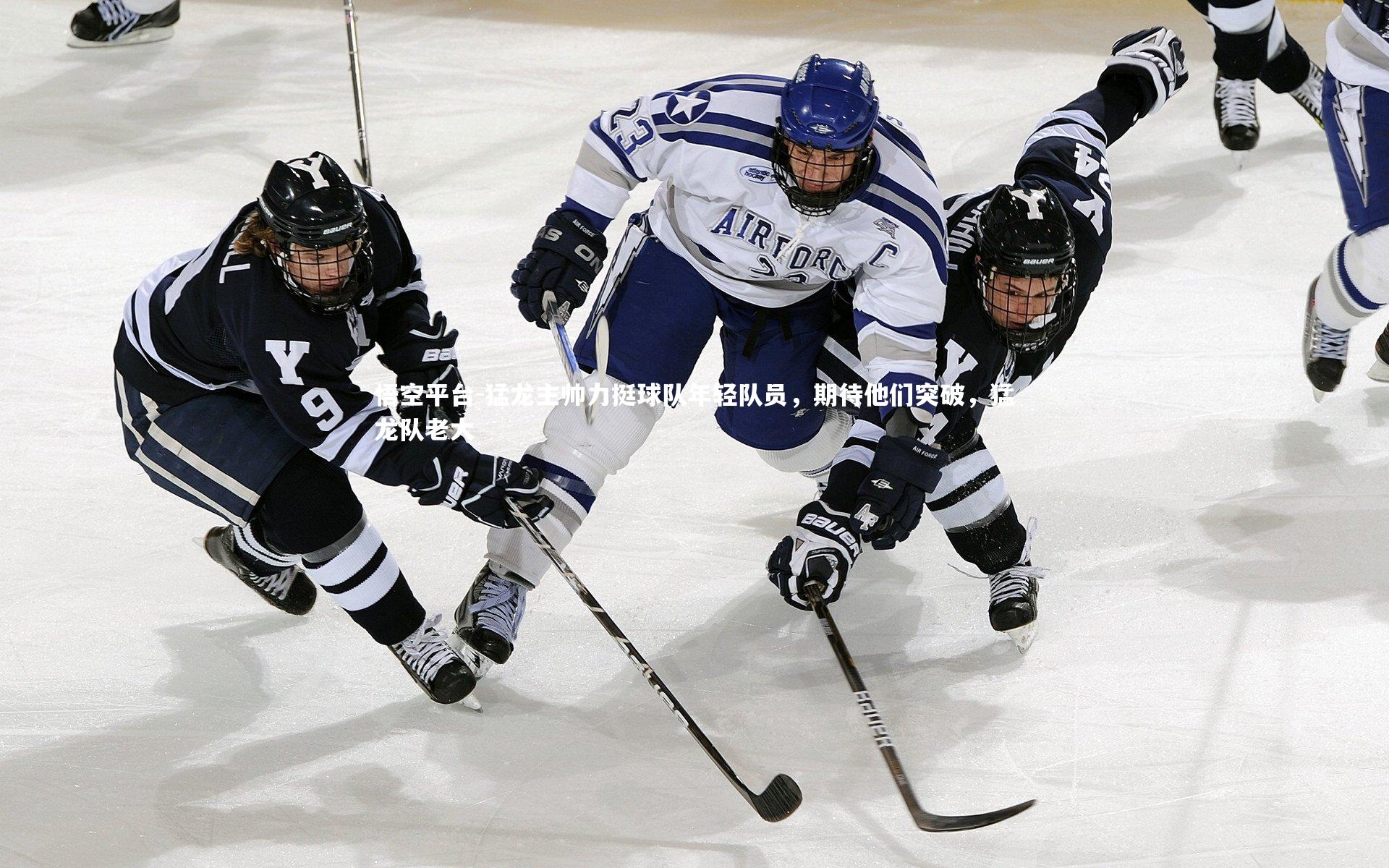 悟空平台-猛龙主帅力挺球队年轻队员，期待他们突破，猛龙队老大