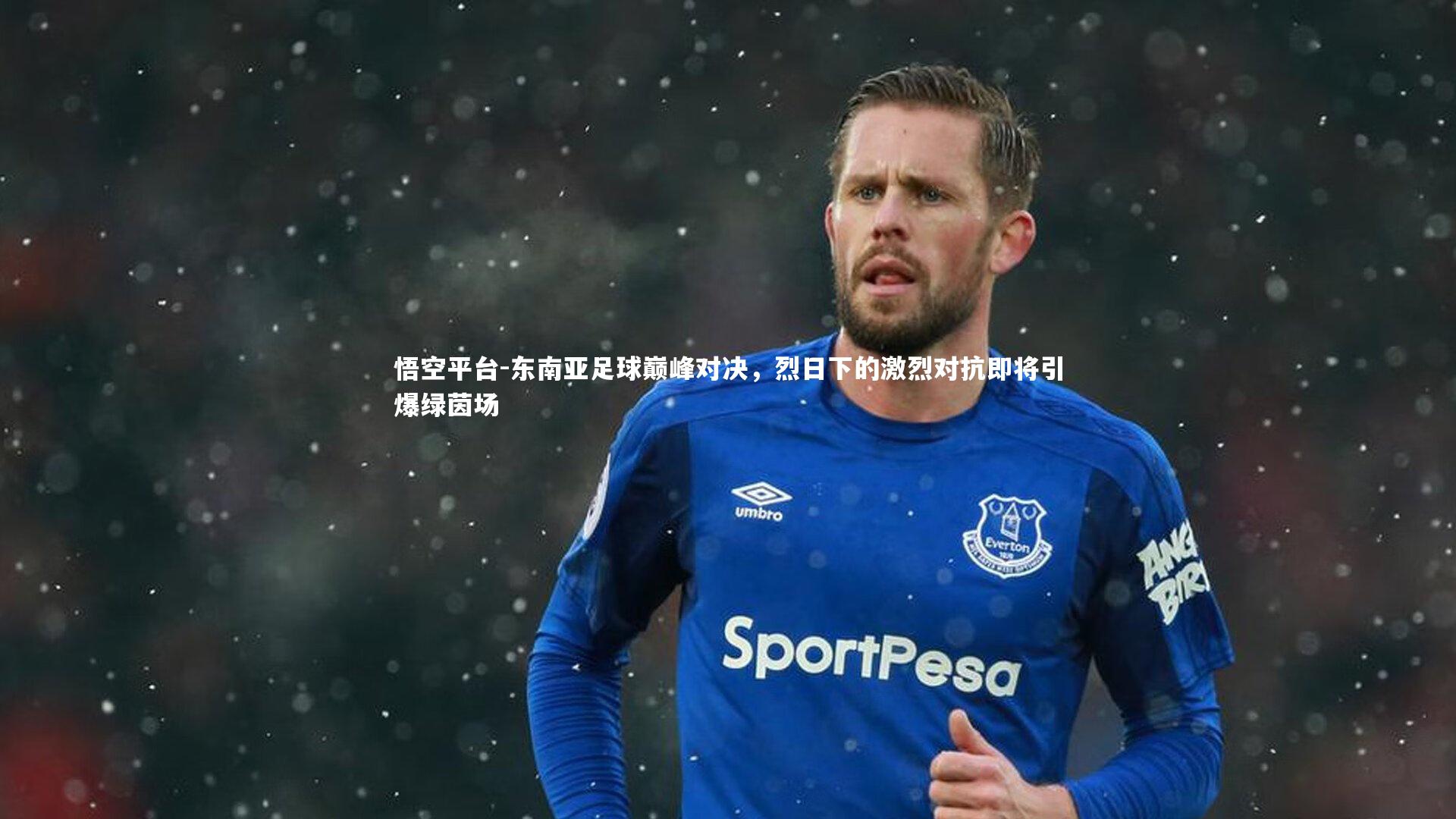 悟空平台-东南亚足球巅峰对决，烈日下的激烈对抗即将引爆绿茵场