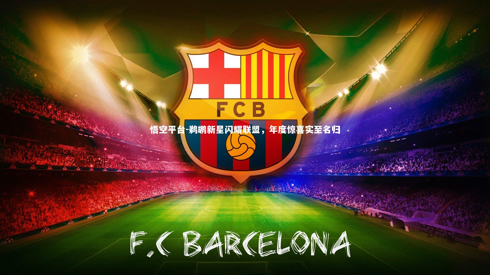 鹈鹕新星闪耀联盟，年度惊喜实至名归